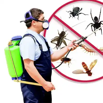 pest control Princeton Meadows